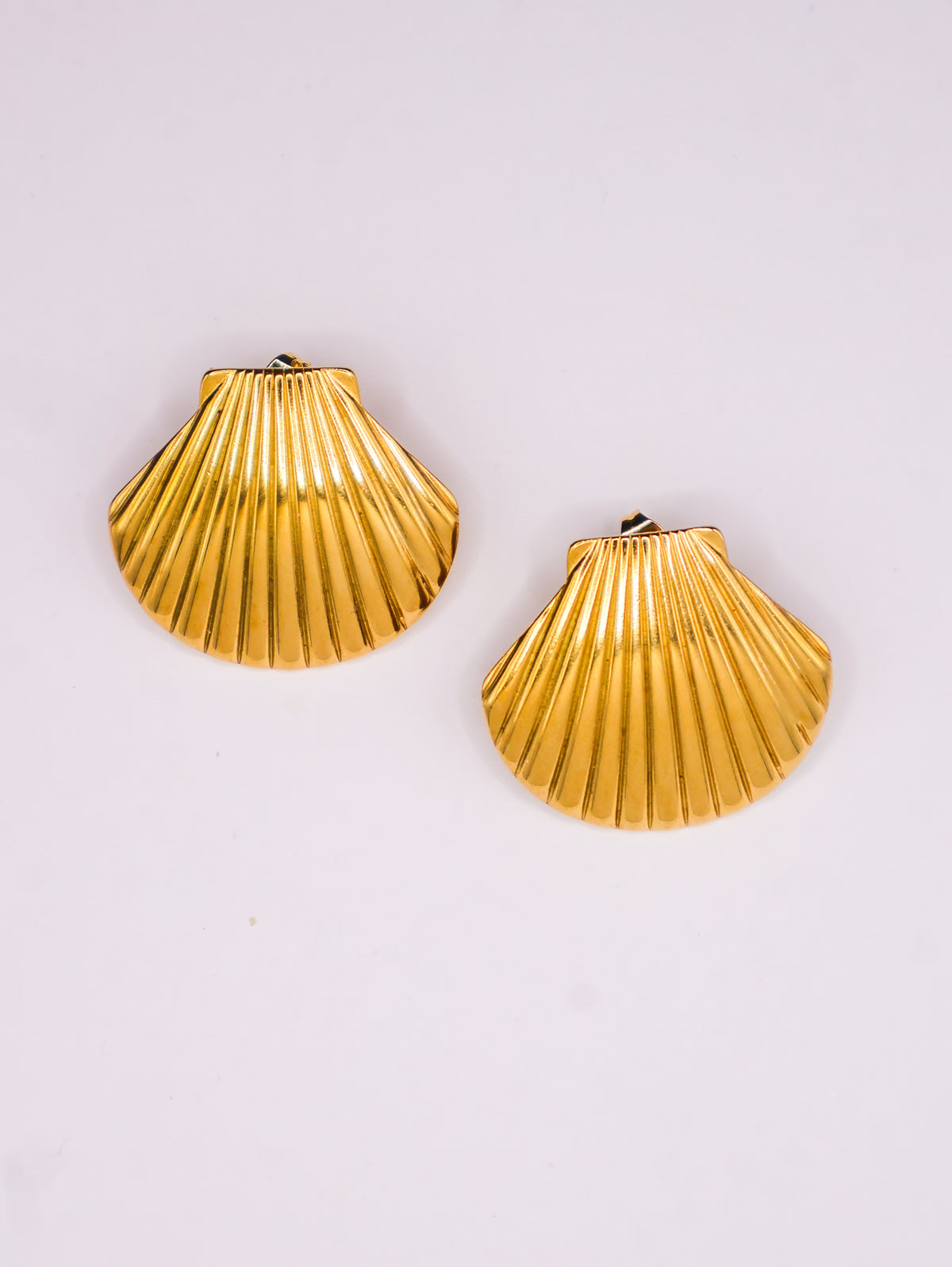 Seashell Earrings